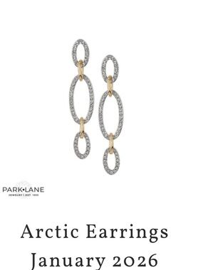 Park Lane Silver and Gold Arctic Drop Earrings - January 2026 Sparkle Box